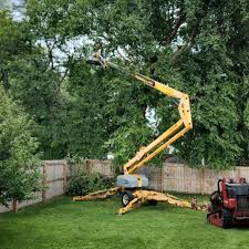 Best Lot and Land Clearing  in Rancho Alegre, TX