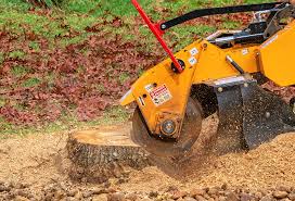 Best Lawn Maintenance Plans  in Rancho Alegre, TX