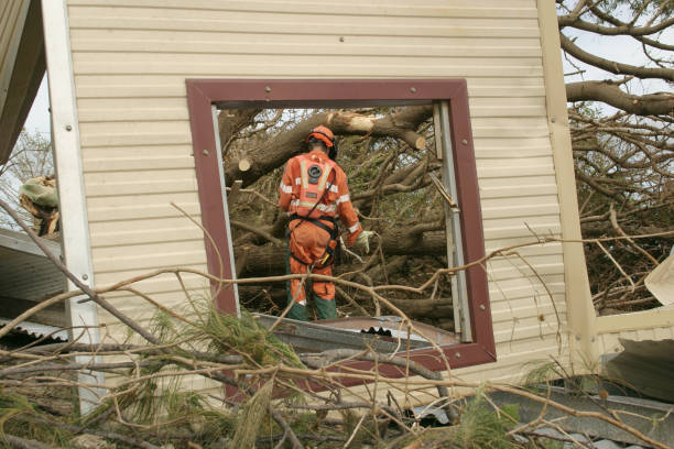 Best Tree Trimming and Pruning  in Rancho Alegre, TX