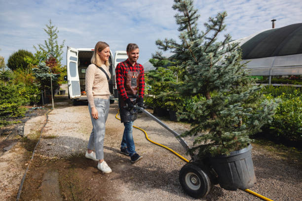 Best Tree and Shrub Care  in Rancho Alegre, TX